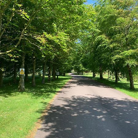Fernhill Lodge Carrigaline Dış mekan fotoğraf