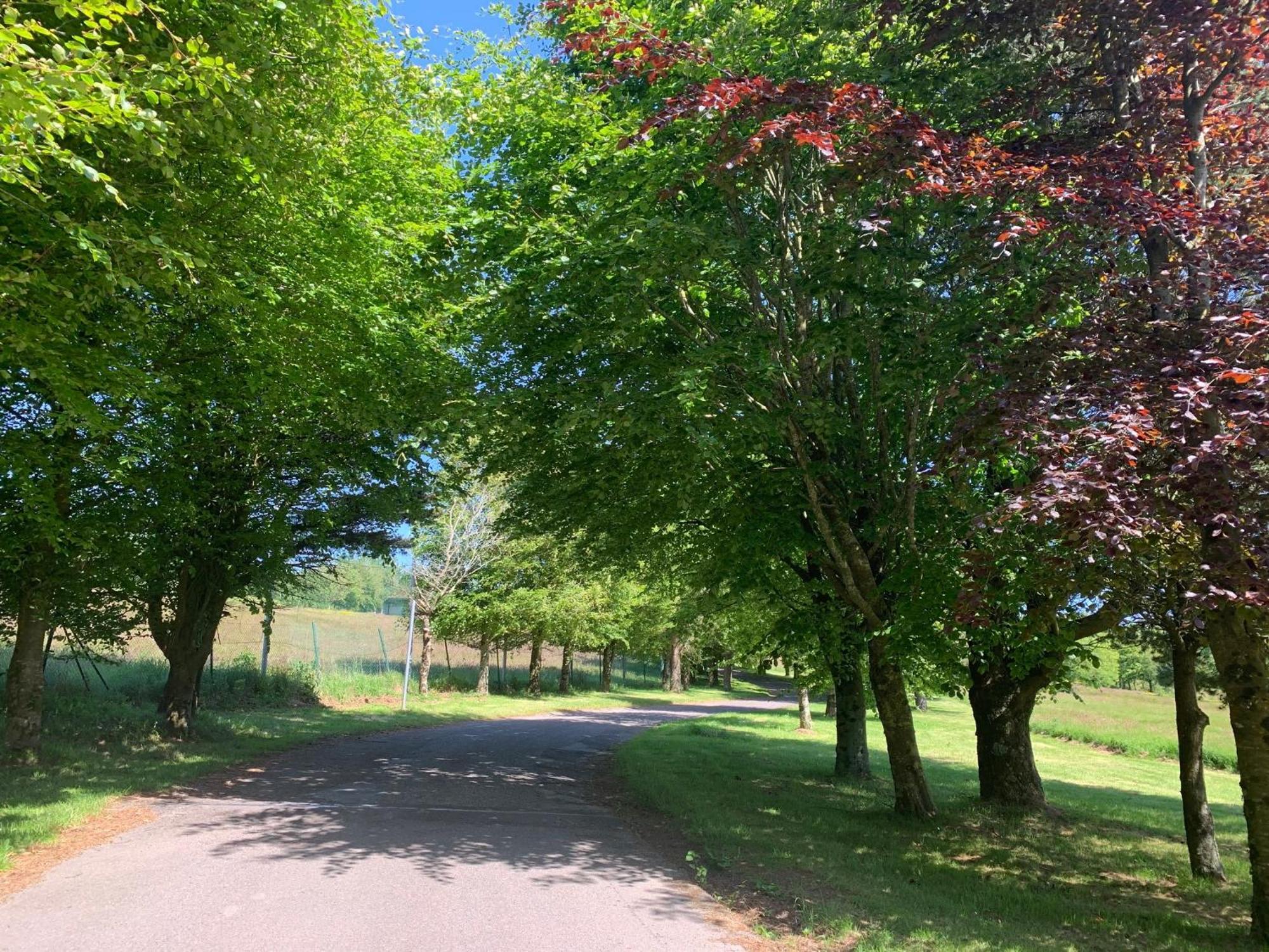 Fernhill Lodge Carrigaline Dış mekan fotoğraf