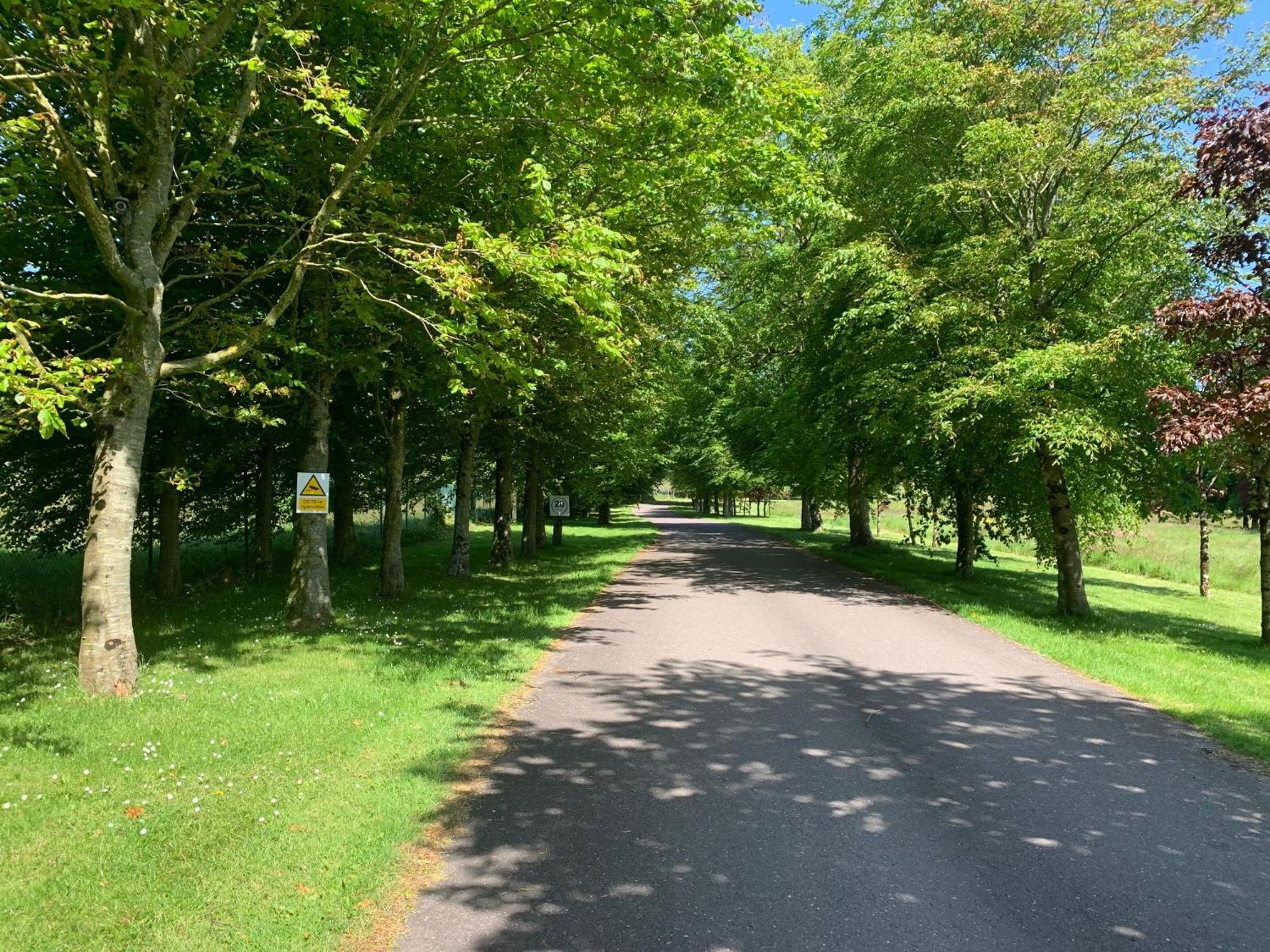 Fernhill Lodge Carrigaline Dış mekan fotoğraf