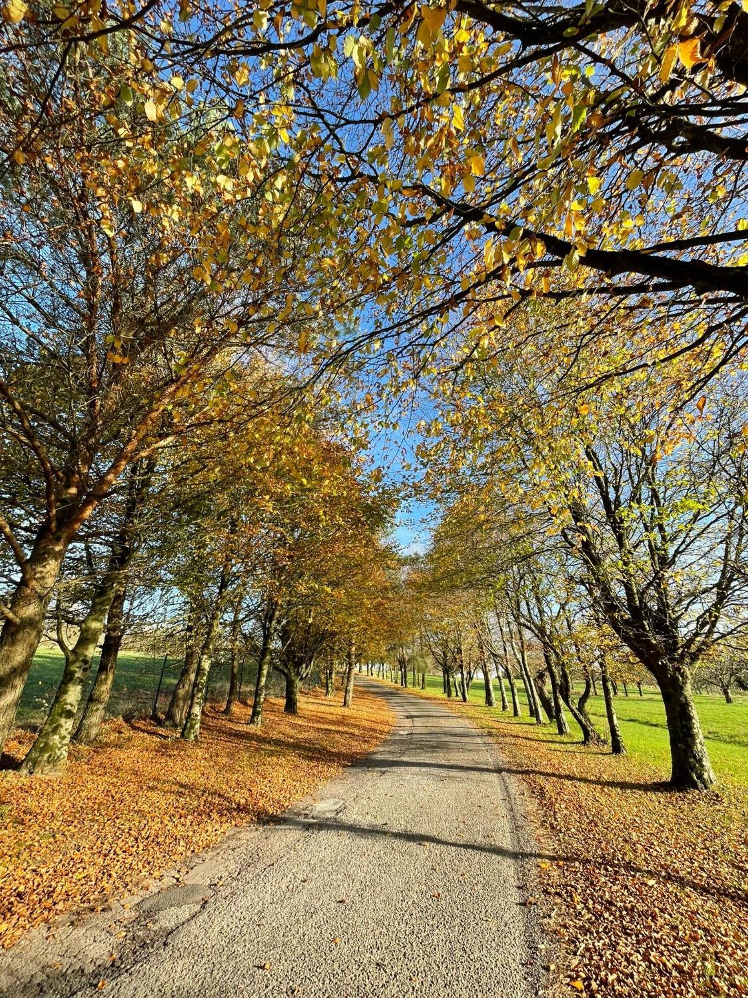 Fernhill Lodge Carrigaline Dış mekan fotoğraf